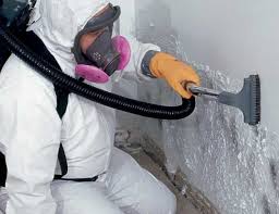 Mold Remediation for Vacation Homes in Olcott, NY